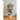 Ficus Tineke